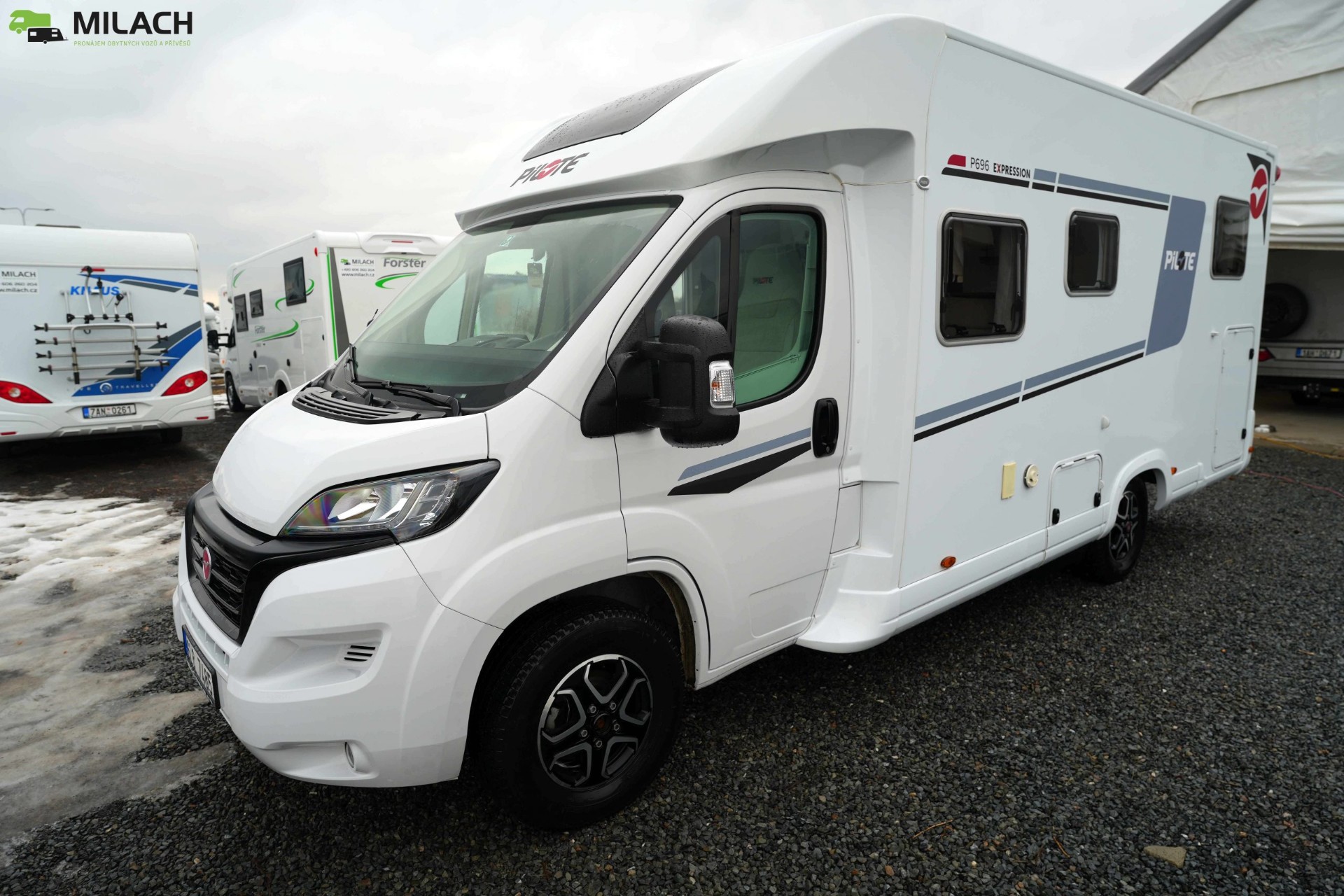 Pilote P696GJ Expression
